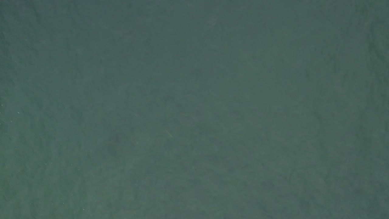Overhead view of green-tinted water in Baja California Sur, Mexico, with faint surface texture and no visible people.