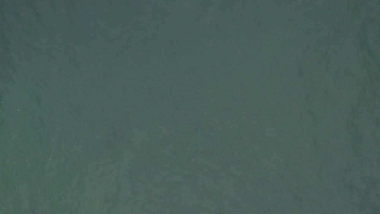 Muted green water with small light specks