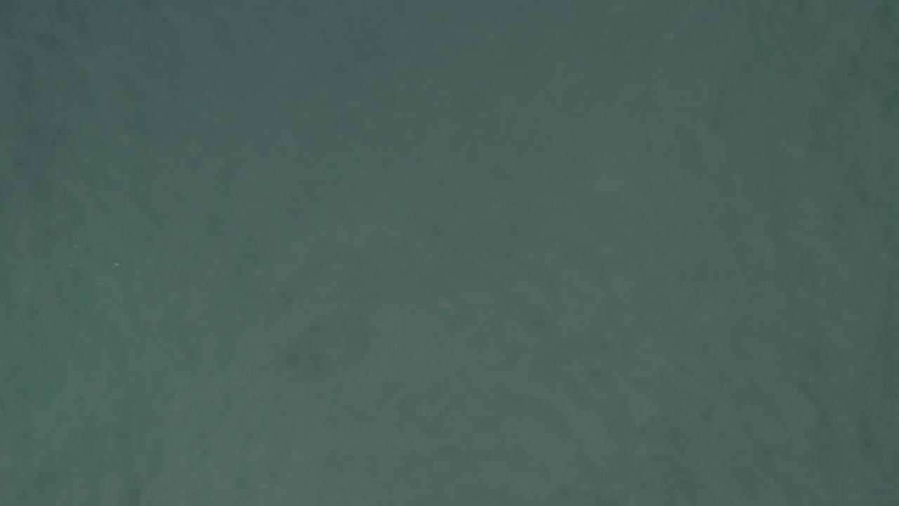 A flat overhead frame of green-tinted Baja California Sur water shows darker mottled patches below the surface and no visible people.