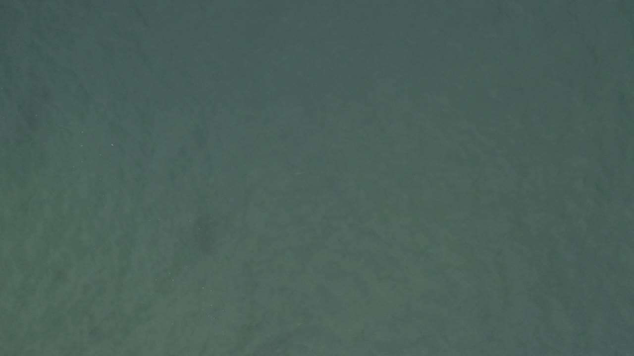 Overhead view of green-blue ocean water in Baja California Sur, Mexico, with subtle darker patches below the surface and no visible people.