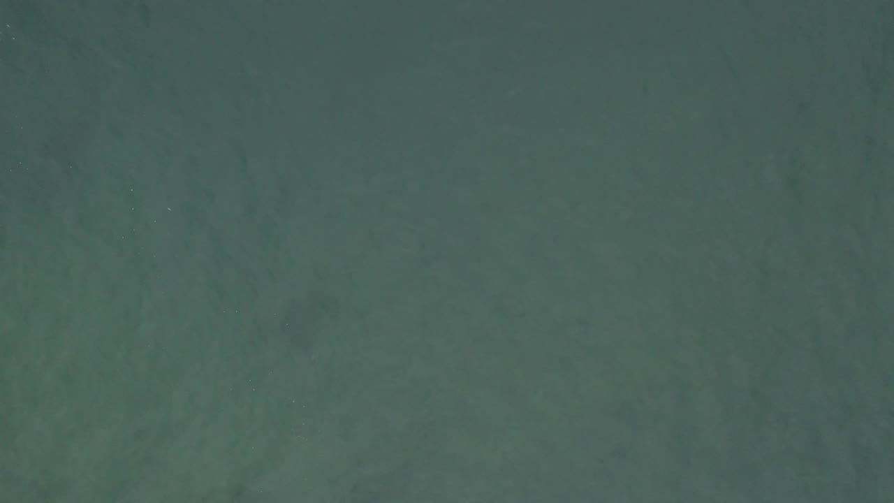 Direct overhead view of green ocean surface in Baja California Sur, Mexico, with darker patches drifting through the frame and no visible people.