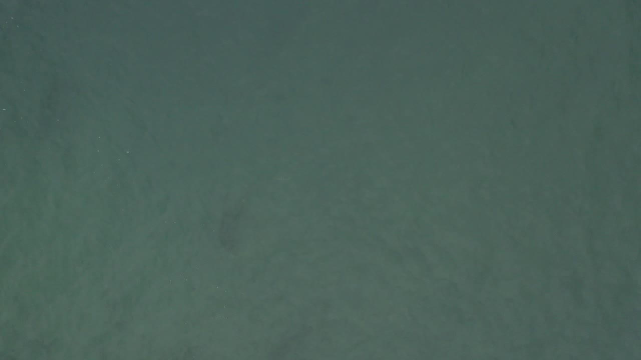 High overhead view of green-blue water in Baja California Sur, Mexico, with faint darker patches under the surface and no visible people.
