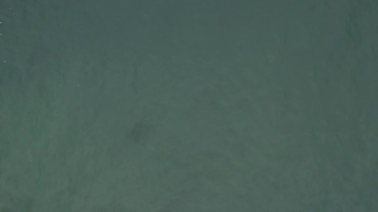 Direct overhead view of green ocean in Baja California Sur, Mexico, with a muted dark silhouette area under the water and no visible people.