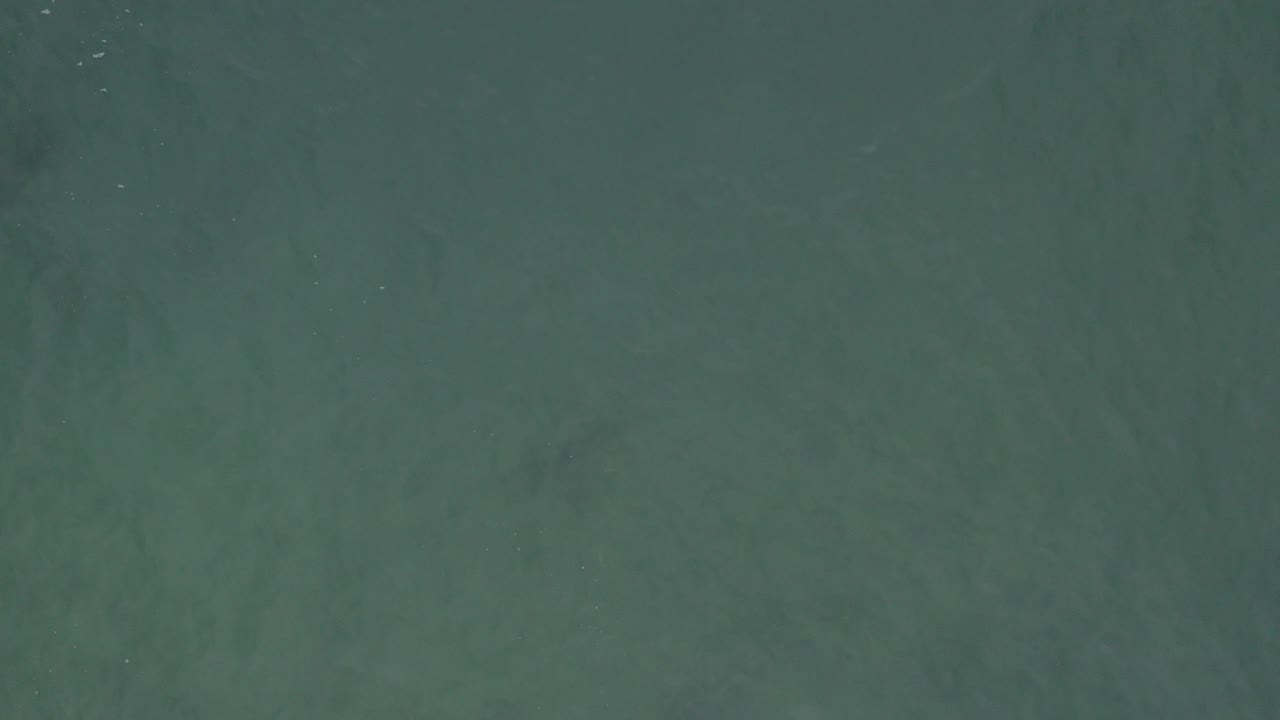 Overhead view of teal ocean water in Baja California Sur, Mexico, with faint darker patches below the surface and no visible people.