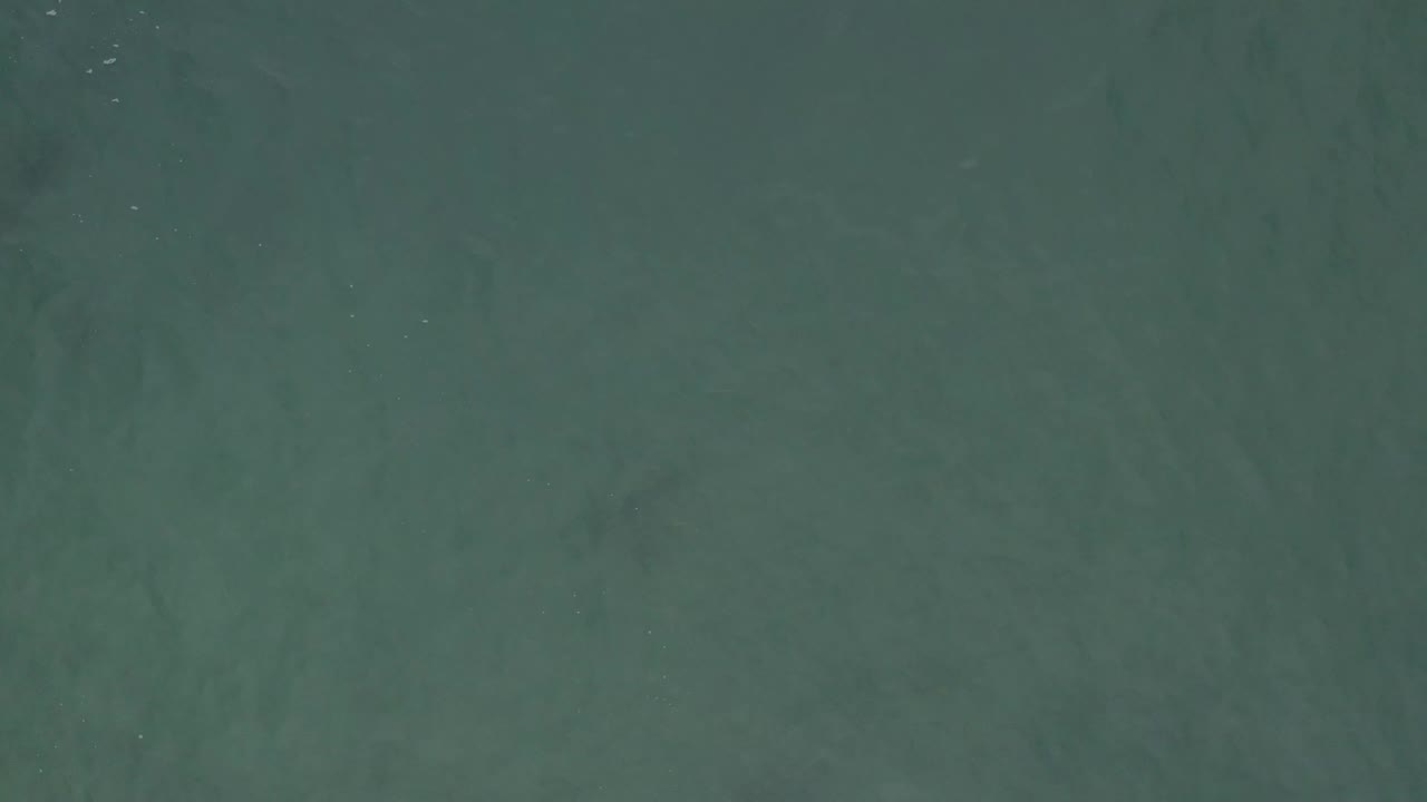 Green-blue ocean surface with soft tonal variation.