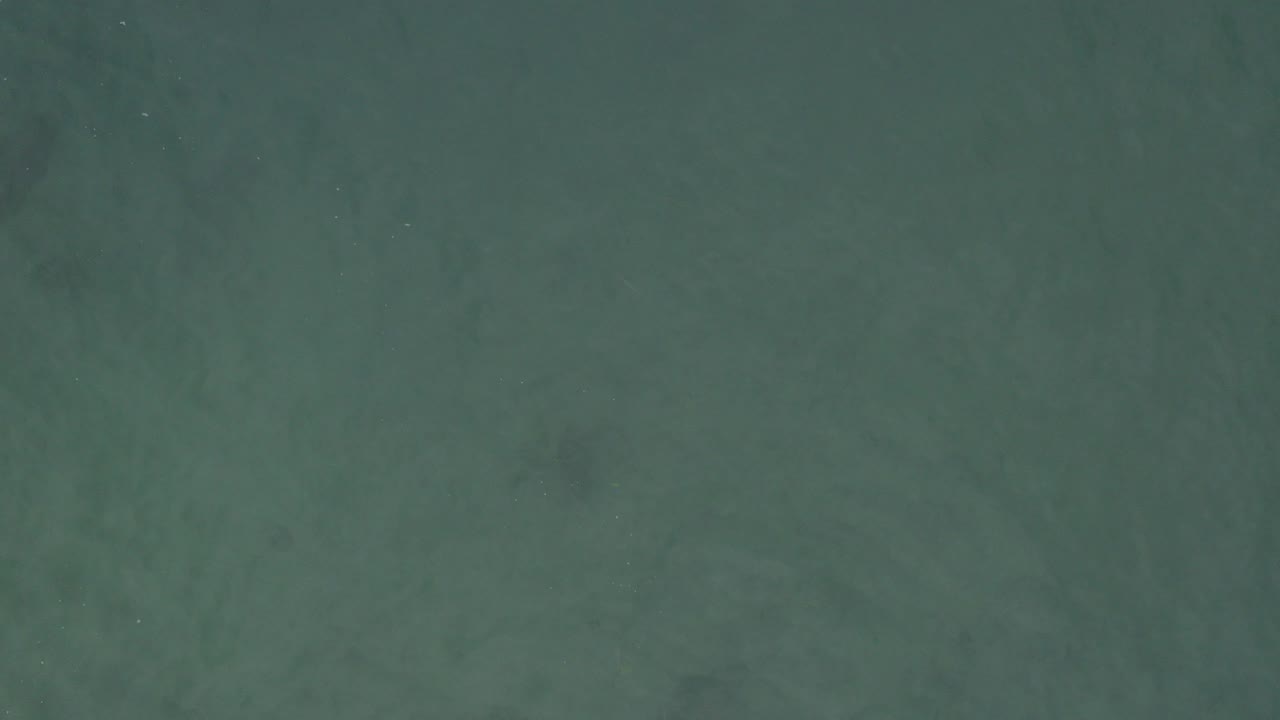 Overhead view of green ocean water in Baja California Sur, Mexico, with faint darker patches under the surface and no visible people.