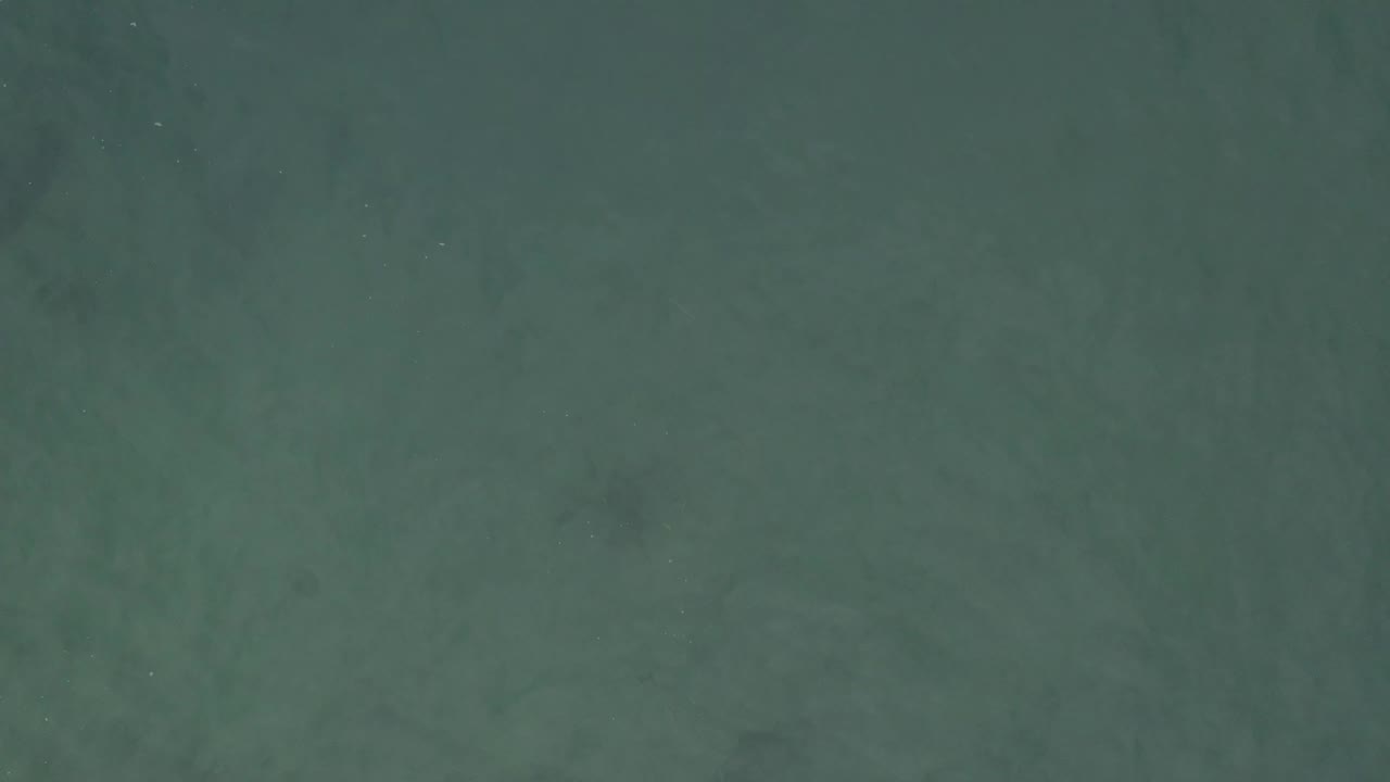 A top-down frame of muted green sea in Baja California Sur, Mexico, with subtle underwater color shifts and no visible people.