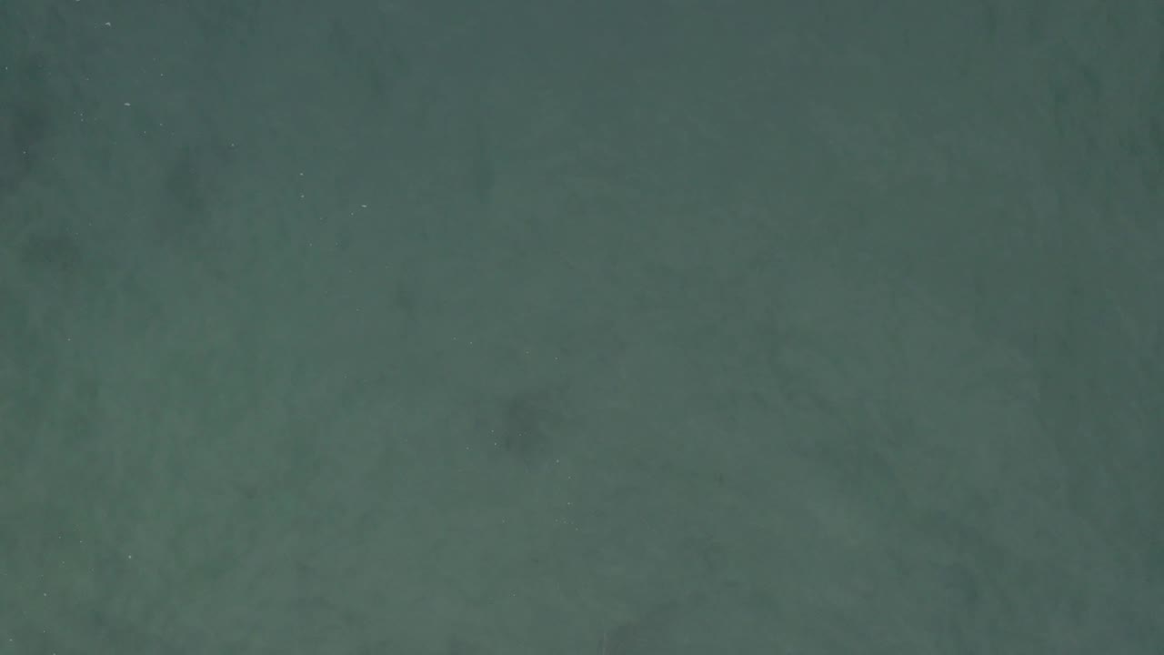 Green open ocean fills the frame in Baja California Sur, Mexico, with faint surface marks near the upper area and no visible people.
