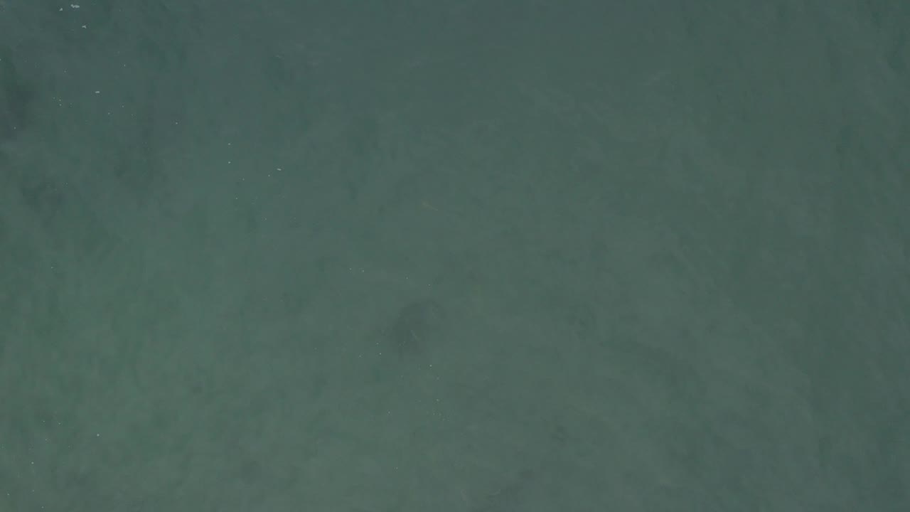 Top-down view of green ocean in Baja California Sur, Mexico, with darker underwater streaks visible beneath the surface and no visible people.