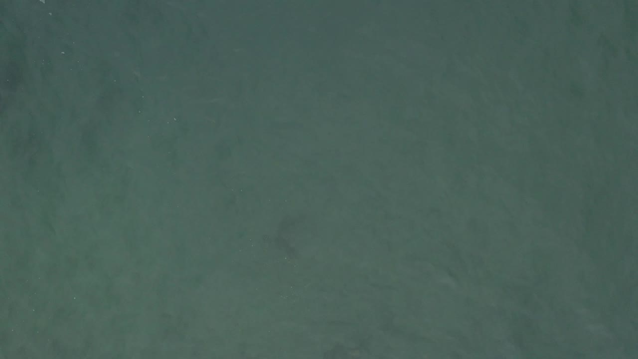 High overhead view of green-blue water in Baja California Sur, Mexico, with soft darker areas beneath the surface and no visible people.