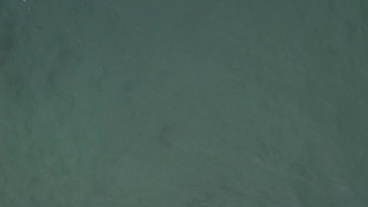 Aerial frame over muted green-blue water in Baja California Sur, Mexico, showing cloudy subsurface darkness and no visible people.