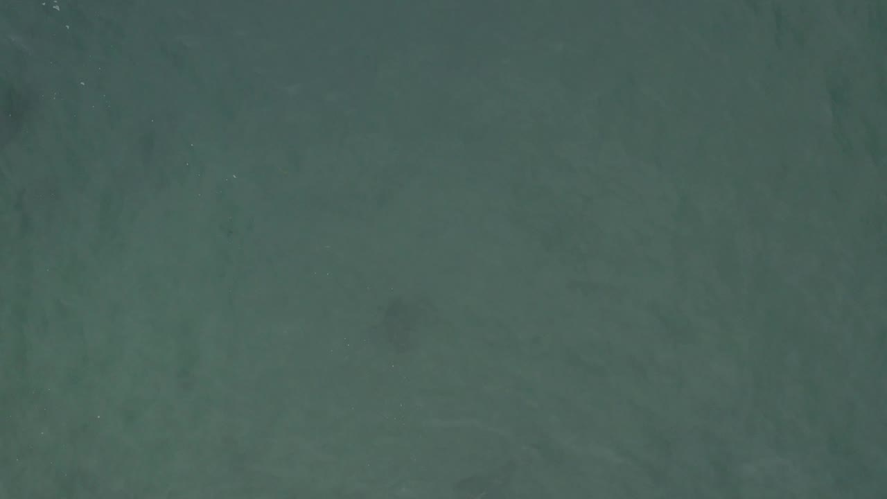 Top-down aerial view of Baja California Sur water with gentle tonal bands, faint specks on the surface, and no visible people.