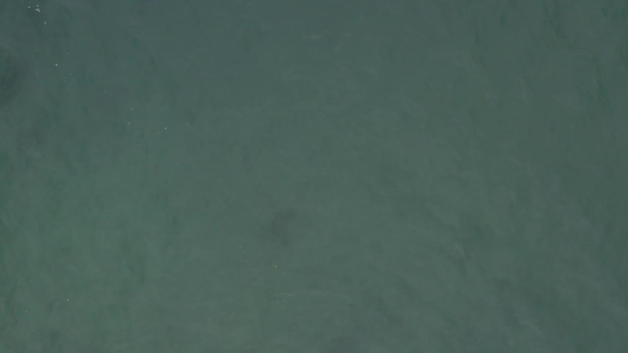 High aerial view over Baja California Sur water with a darker, diffuse subsurface patch near the center and no visible people.