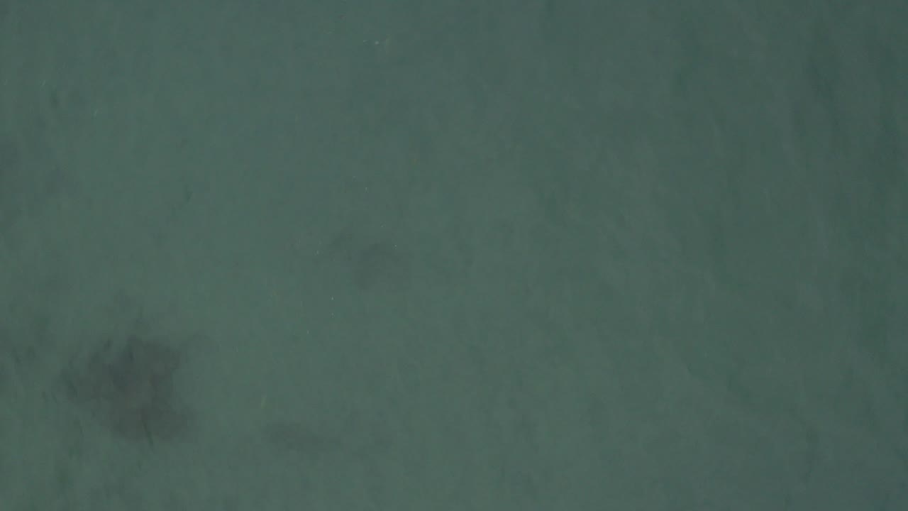 Top-down aerial view in Baja California Sur, Mexico, showing green-blue water and a dark gray shape beneath the surface near the left side, with no visible people.