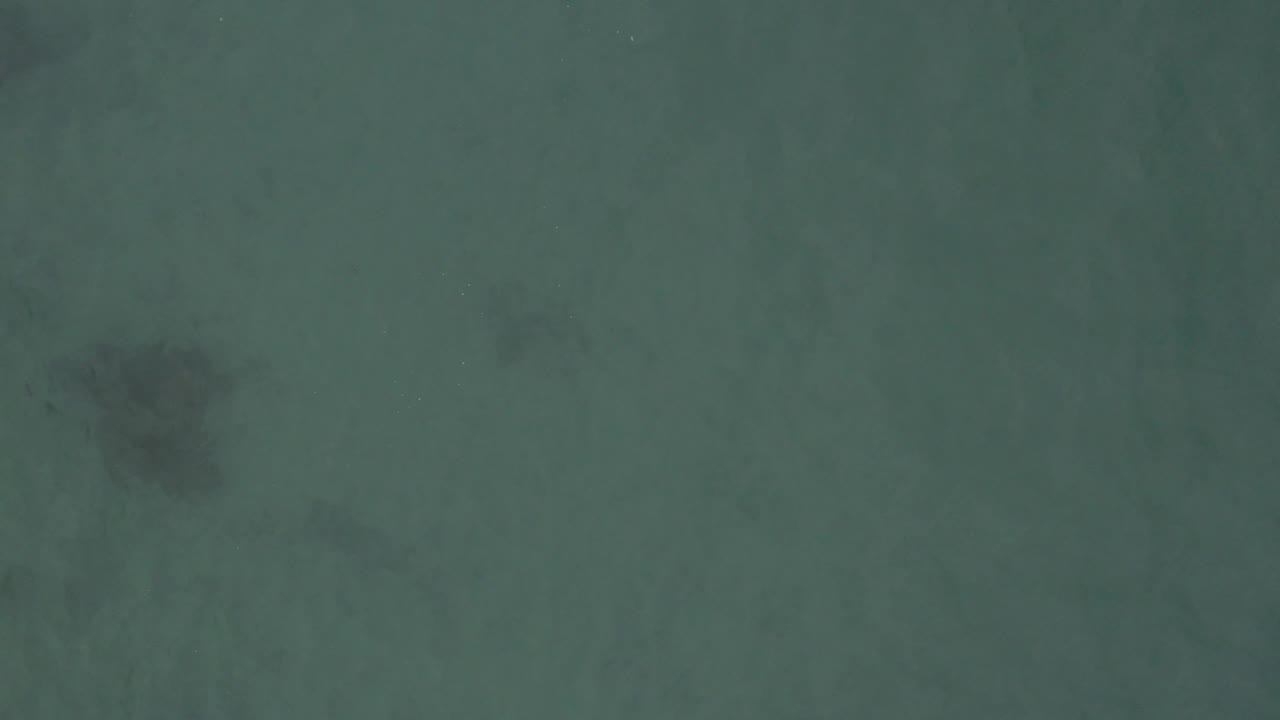 Top-down aerial view in Baja California Sur, Mexico, showing a darker gray submerged form near the upper right area of the green water, with no visible people.