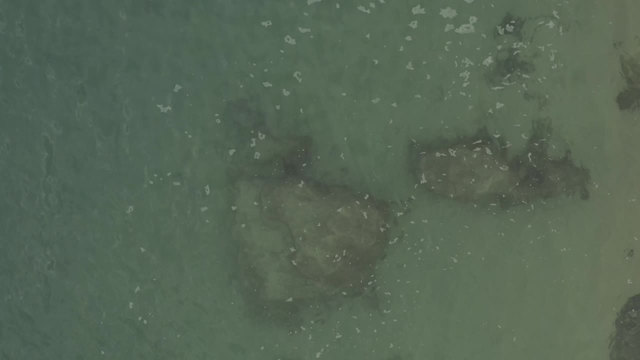 Near-vertical aerial frame over Baja California Sur Mexico water, where a darker rock cluster sits under muted green water beside a lighter sandy patch, with no visible people.