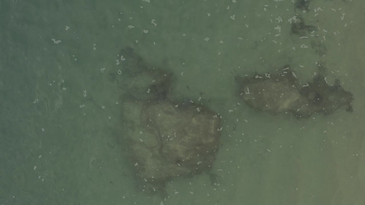Overhead view of transparent green-blue ocean water in Baja California Sur with dark submerged rocks near the upper half and no visible people.