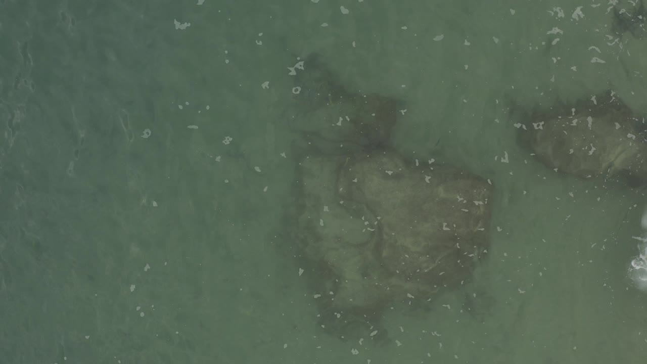 Overhead view of murky green seawater in Baja California Sur, Mexico, with dark submerged reef patches and no visible people.