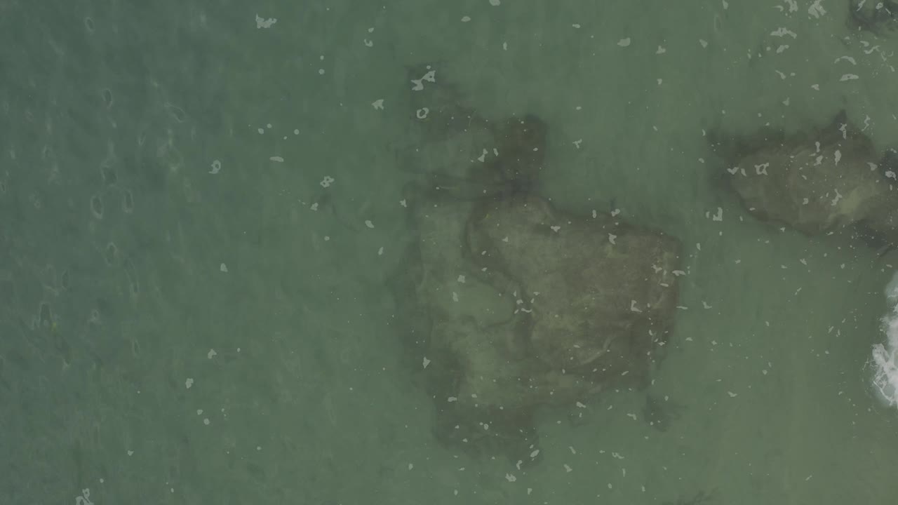 Top-down view of murky reef water in Baja California Sur, Mexico, with a small white wave break near the center-right and no visible people.