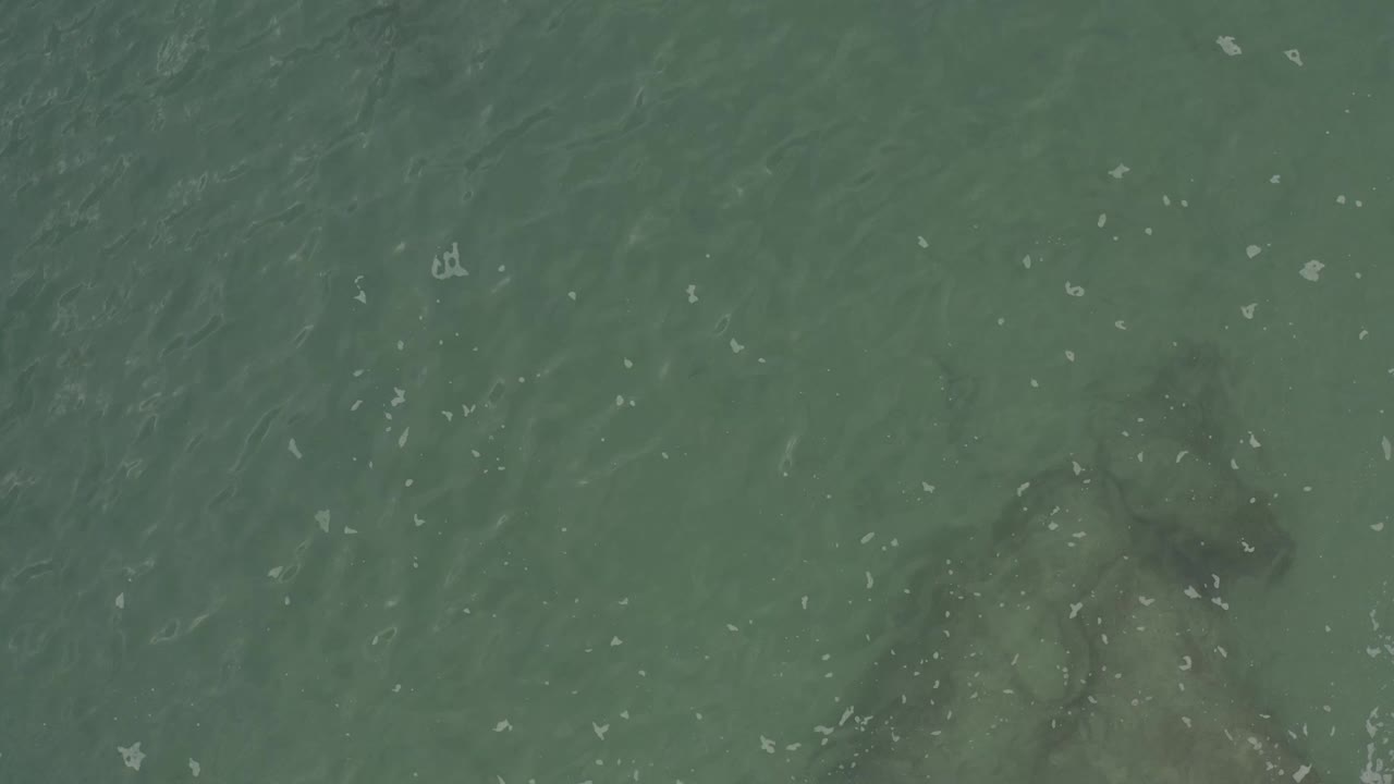 Overhead view of shallow green-blue water in Baja California Sur, Mexico, with a faint grey submerged form near the lower center and no visible people.