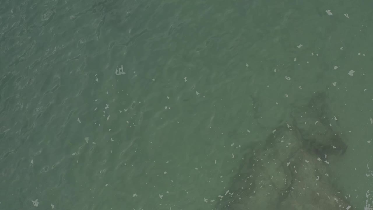 Top-down Baja California Sur water view with the grey submerged object more defined below the rippled surface and no visible people.