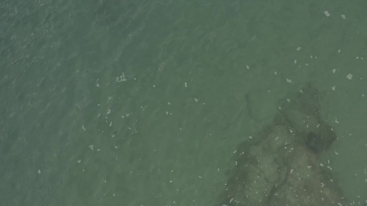Overhead drone frame over Baja California Sur water, with the submerged grey shape shifted toward the right edge under scattered white surface marks and no visible people.