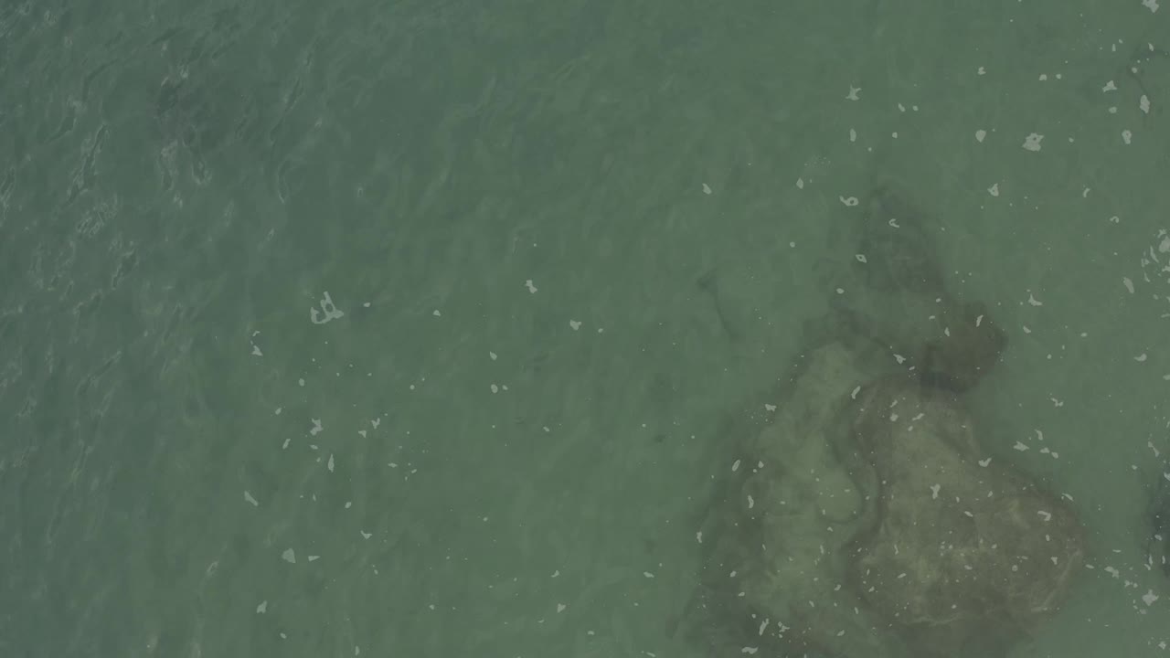 Top-down view of green shallow water in Baja California Sur, Mexico, where the underwater object appears as a faint shadow beneath ripples and no visible people.
