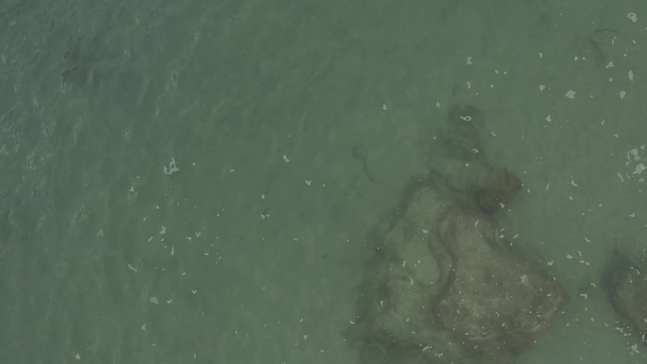Aerial straight-down frame of shallow green water, a soft-edged submerged rock, scattered white foam, and no visible people in Baja California Sur, Mexico.