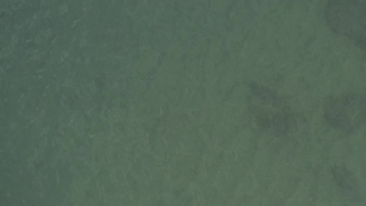Overhead view of green shallow water in Baja California Sur, Mexico, with faint submerged rock or sand shapes and no visible people.