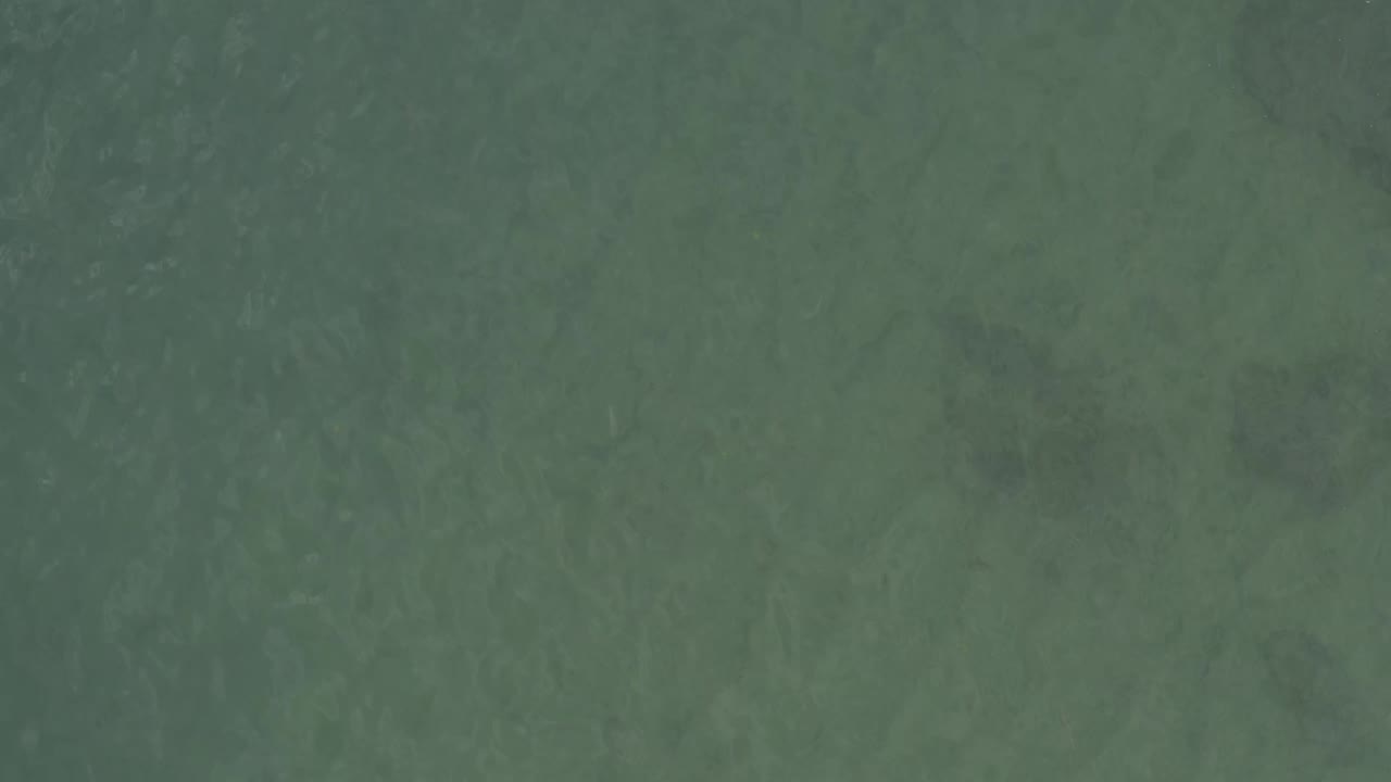 Clear green water with subtle ripples