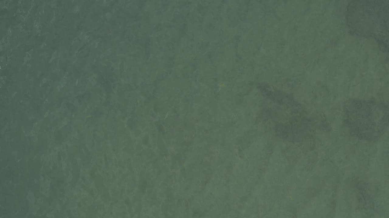 Shallow green water shows darker submerged patches beneath a lightly rippled surface in Baja California Sur, Mexico, with no visible people.