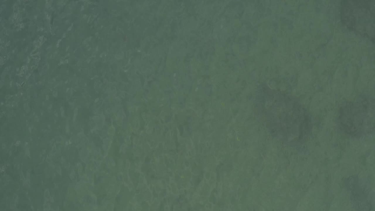 Overhead frame of shallow green ocean water in Baja California Sur, Mexico, with slightly brighter wave streaks and no visible people.