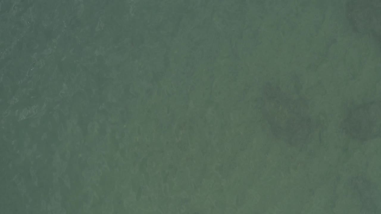 Aerial-looking view of mottled green seawater in Baja California Sur, Mexico, with pale underwater patches and no visible people.
