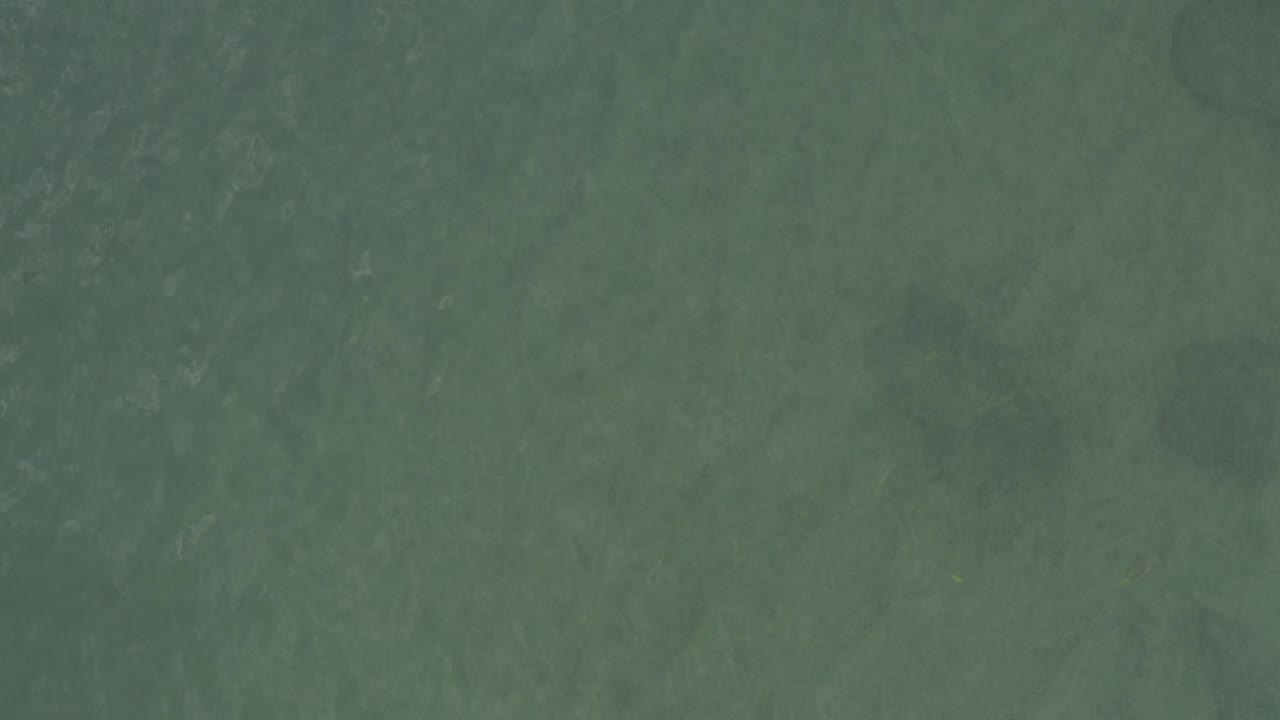 Overhead view of green-blue ocean water in Baja California Sur, Mexico, with faint surface texture and no visible people.