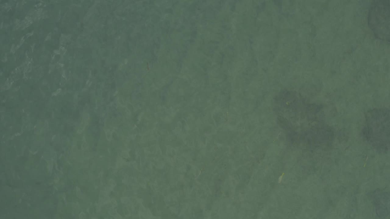 Straight-down aerial frame of green ocean water in Baja California Sur, Mexico, with mottled tonal variation and no visible people.