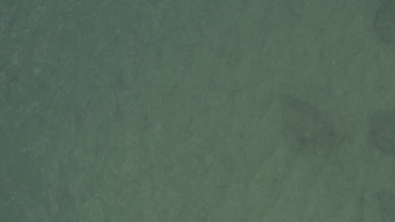 Green open water surface with faint ripples