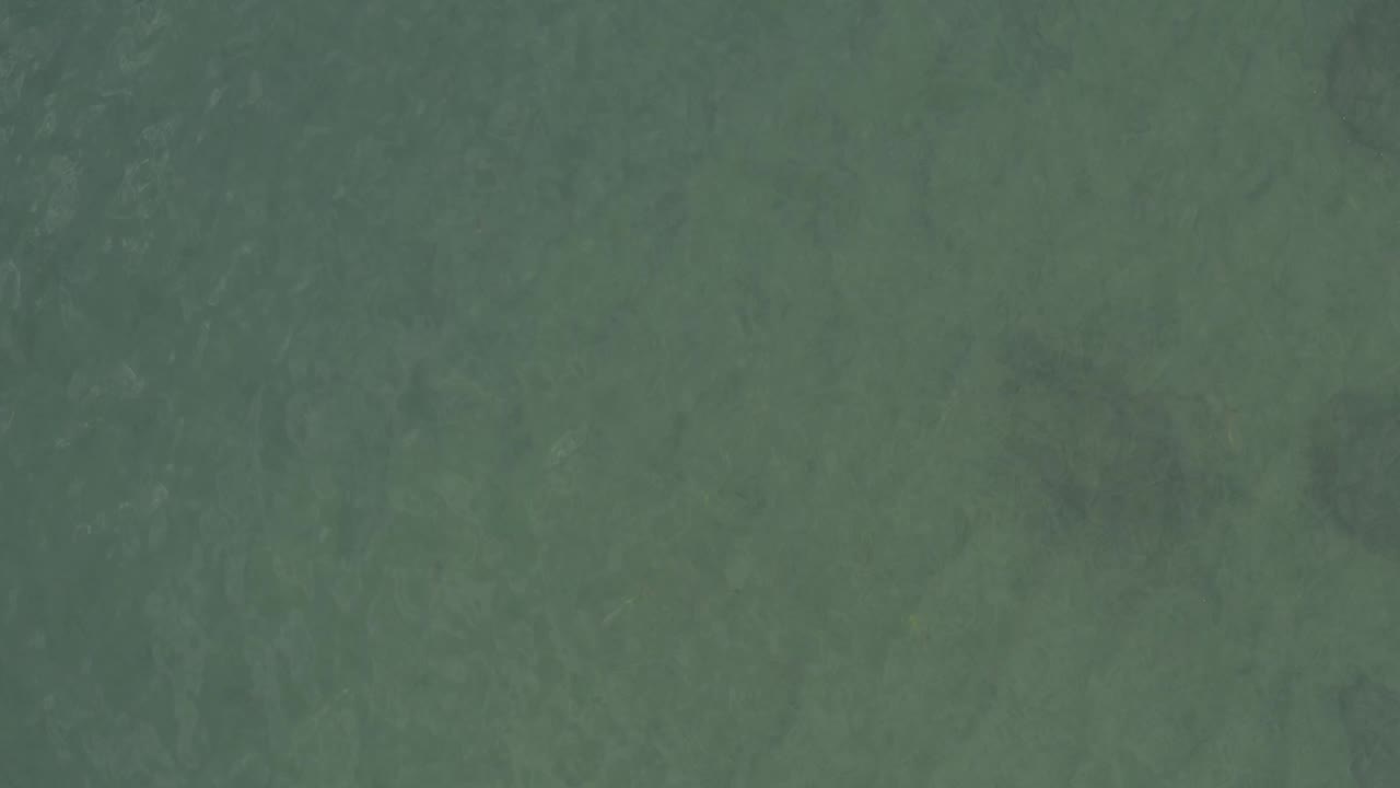 A close water surface view in Baja California Sur shows green color variation, soft darker areas, gentle surface texture, and no visible people.