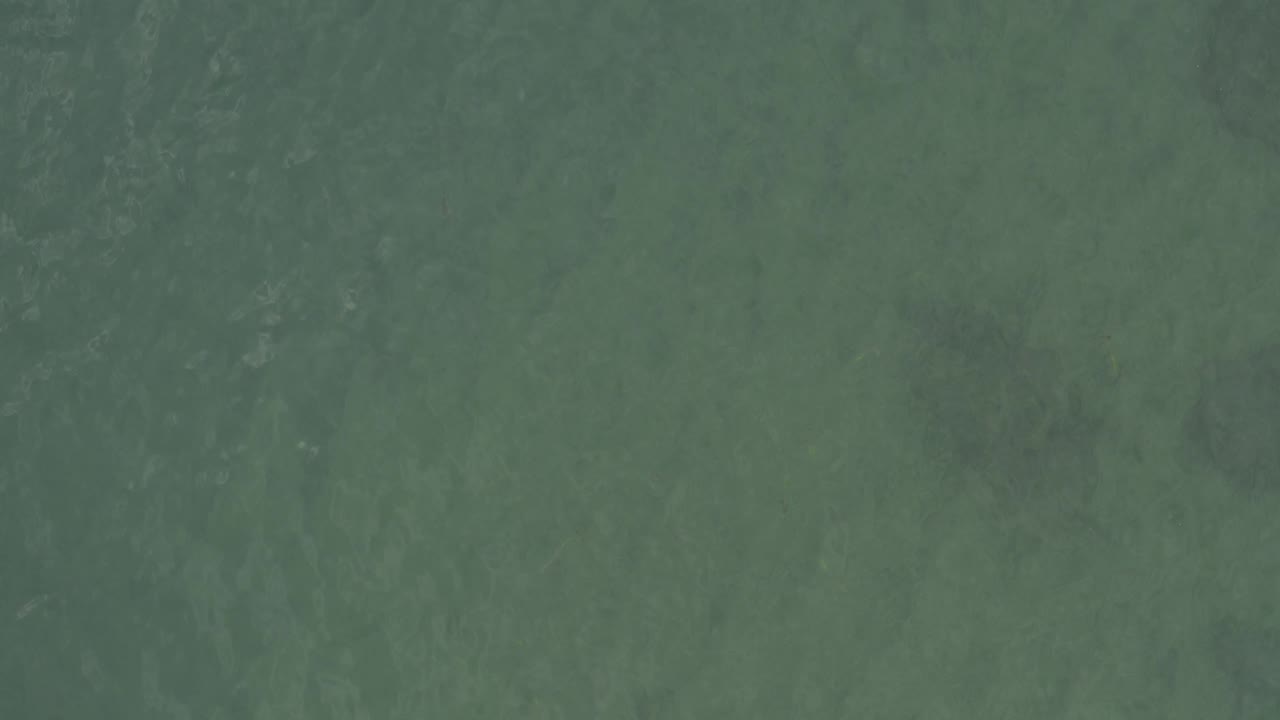 Open green coastal water in Baja California Sur fills the frame, with slightly darker current-like streaks and no visible people, boats, or shoreline.