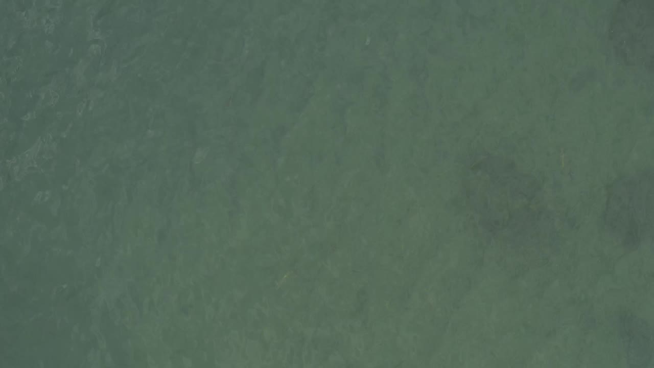 Mottled green water in Baja California Sur appears across the full frame, with uneven darker patches under the surface and no visible people.
