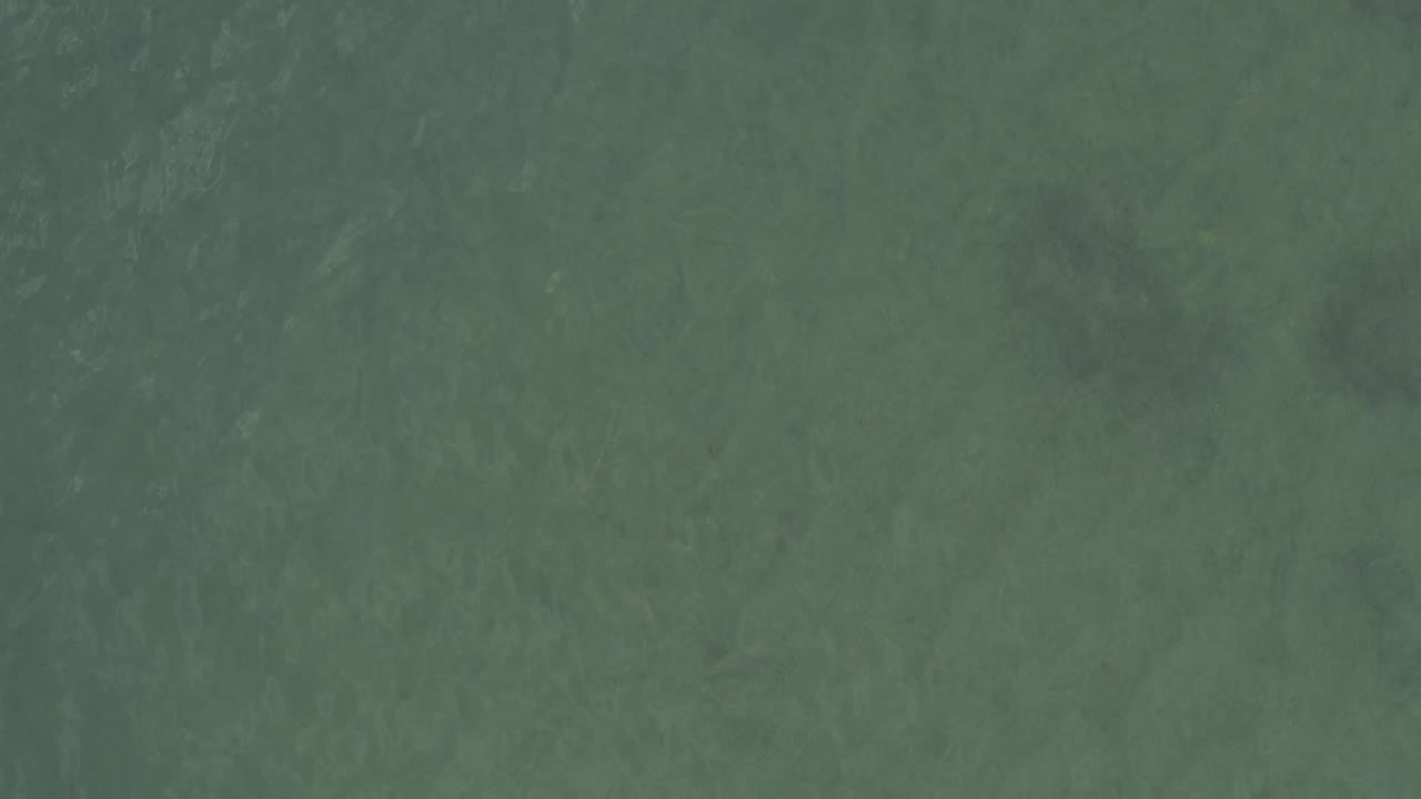 Downward view of green-blue coastal water in Baja California Sur, Mexico, with soft surface texture and no visible people.