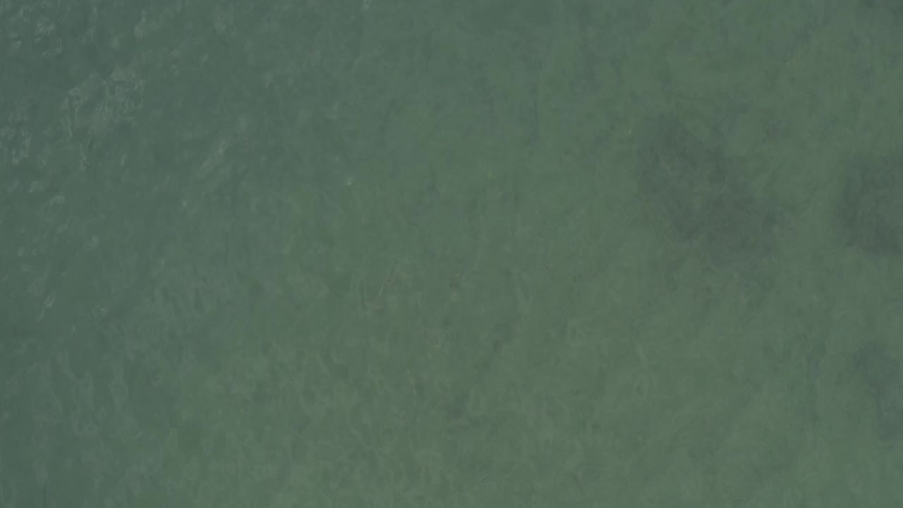 Overhead frame of muted green water in Baja California Sur, Mexico, with faint ripples and no visible people.