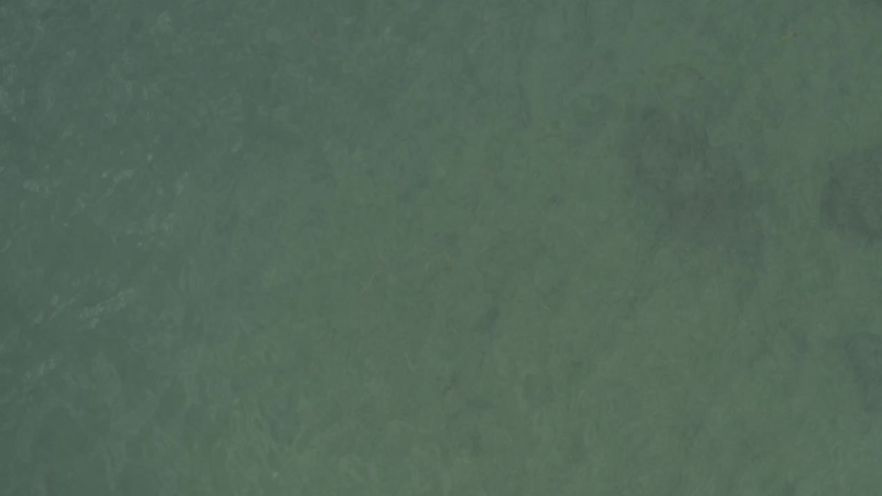 Green shallow water in Baja California Sur, Mexico, showing cloudy underwater texture and no visible people.