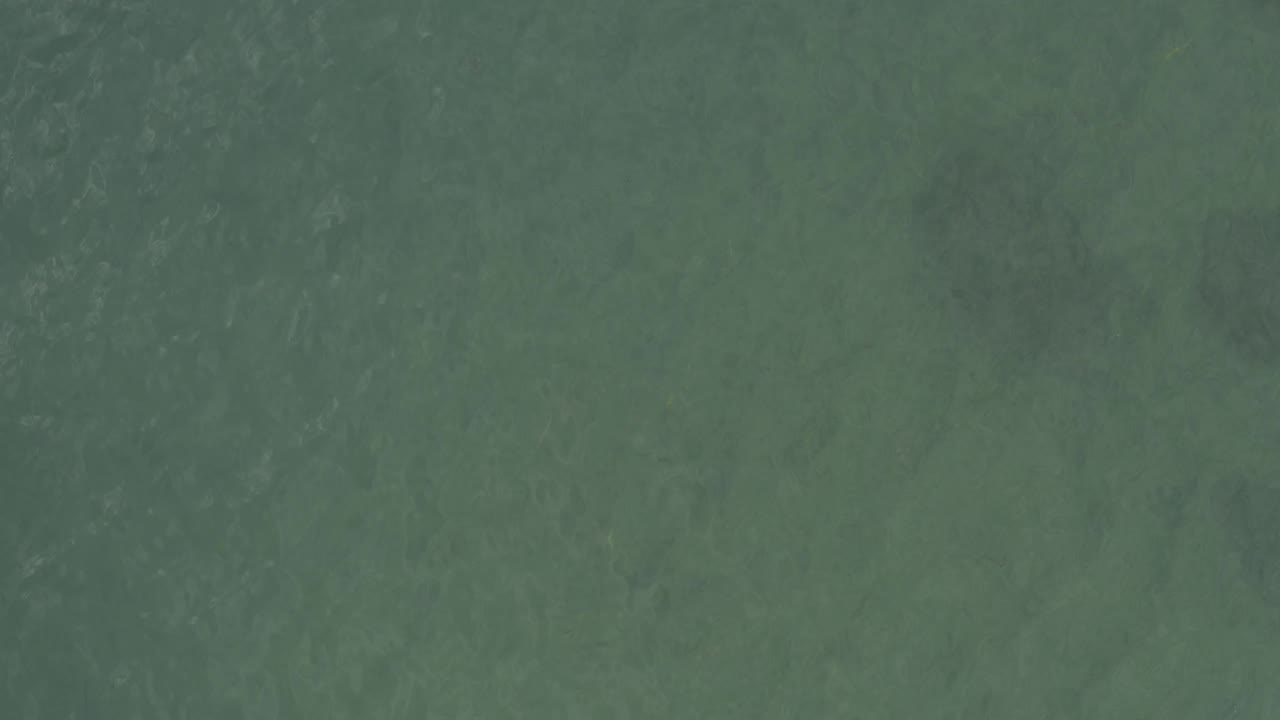 Overhead water surface with darker green patches.
