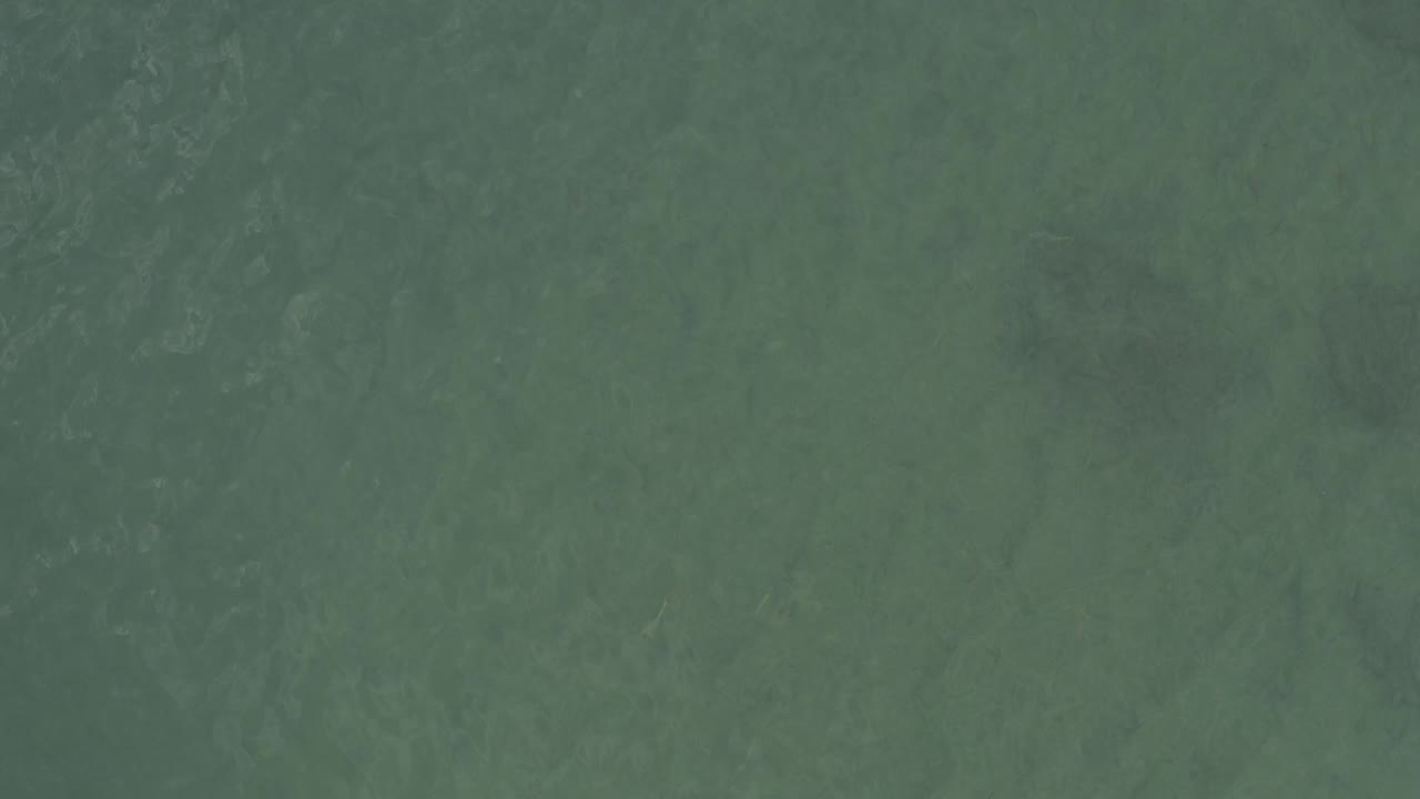 Soft-focus blue-green water surface in Baja California Sur, Mexico, with faint underwater tonal patches and no visible people.