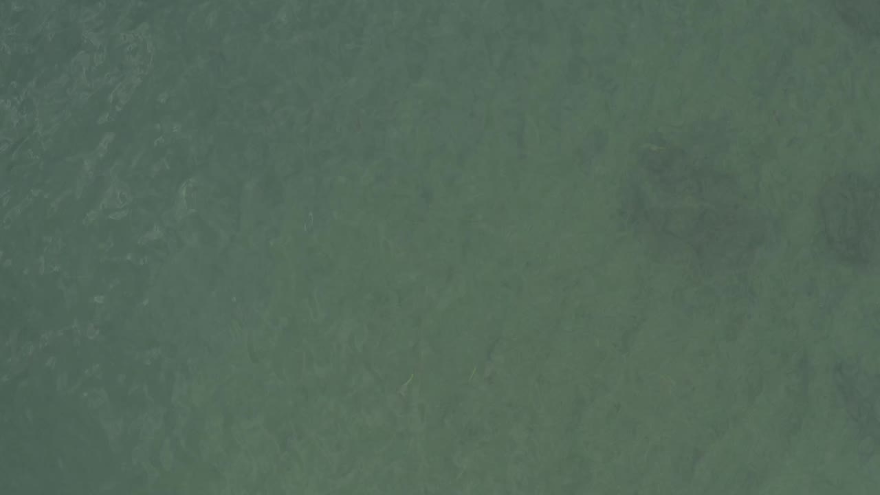 Muted green water in Baja California Sur, Mexico, viewed close enough that only surface texture and darker underwater areas are visible, with no visible people.