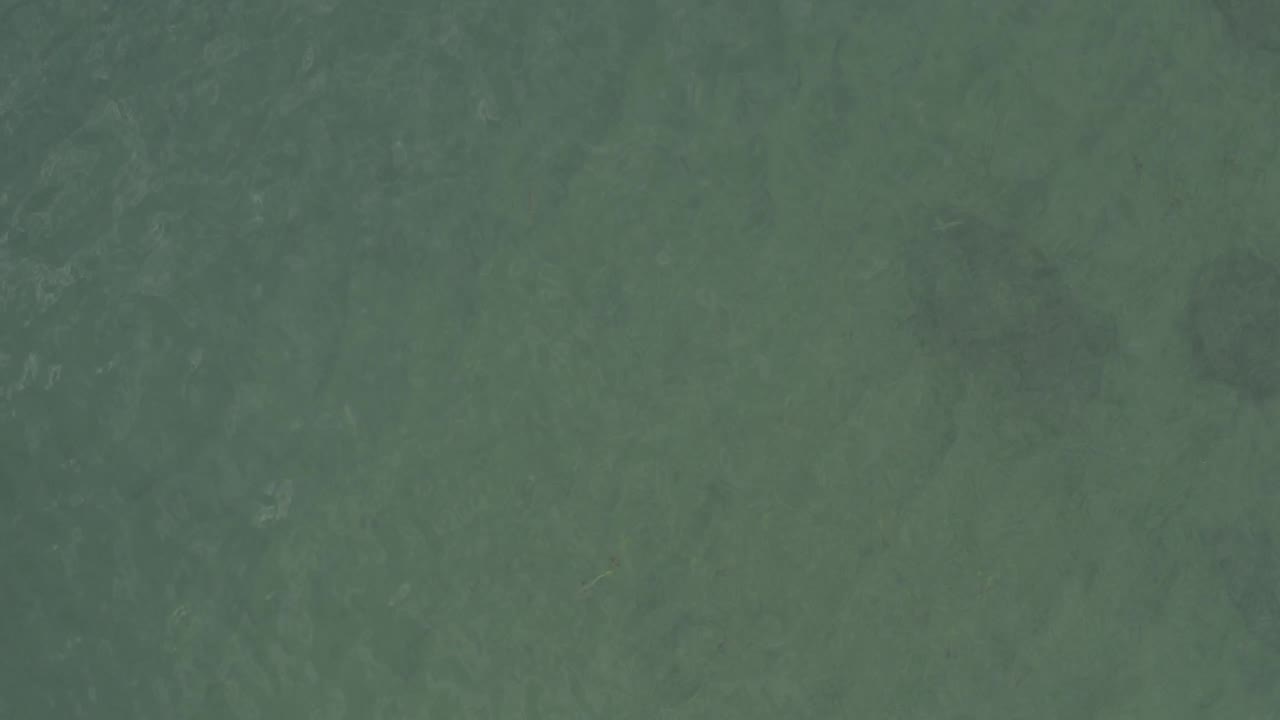 Blue-green water surface in Baja California Sur, Mexico, with slightly clearer ripple detail and scattered darker areas below the surface, with no visible people.