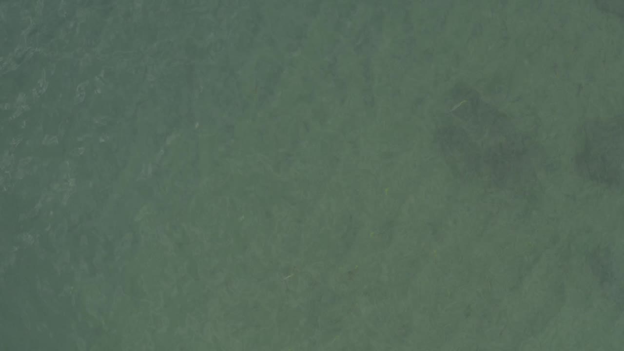 Soft green water texture without shoreline