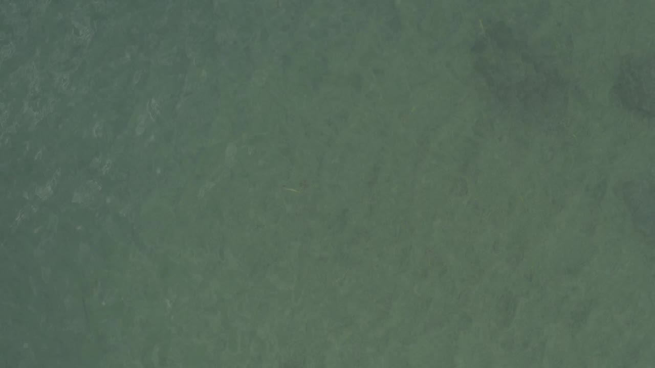 Blue-green ocean surface with small ripples.