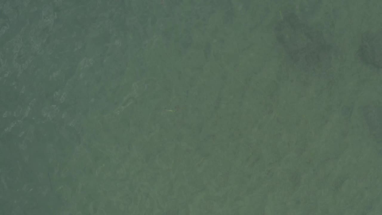 Overhead Baja California Sur ocean surface with mottled green-blue color, light ripple texture, and no visible people.