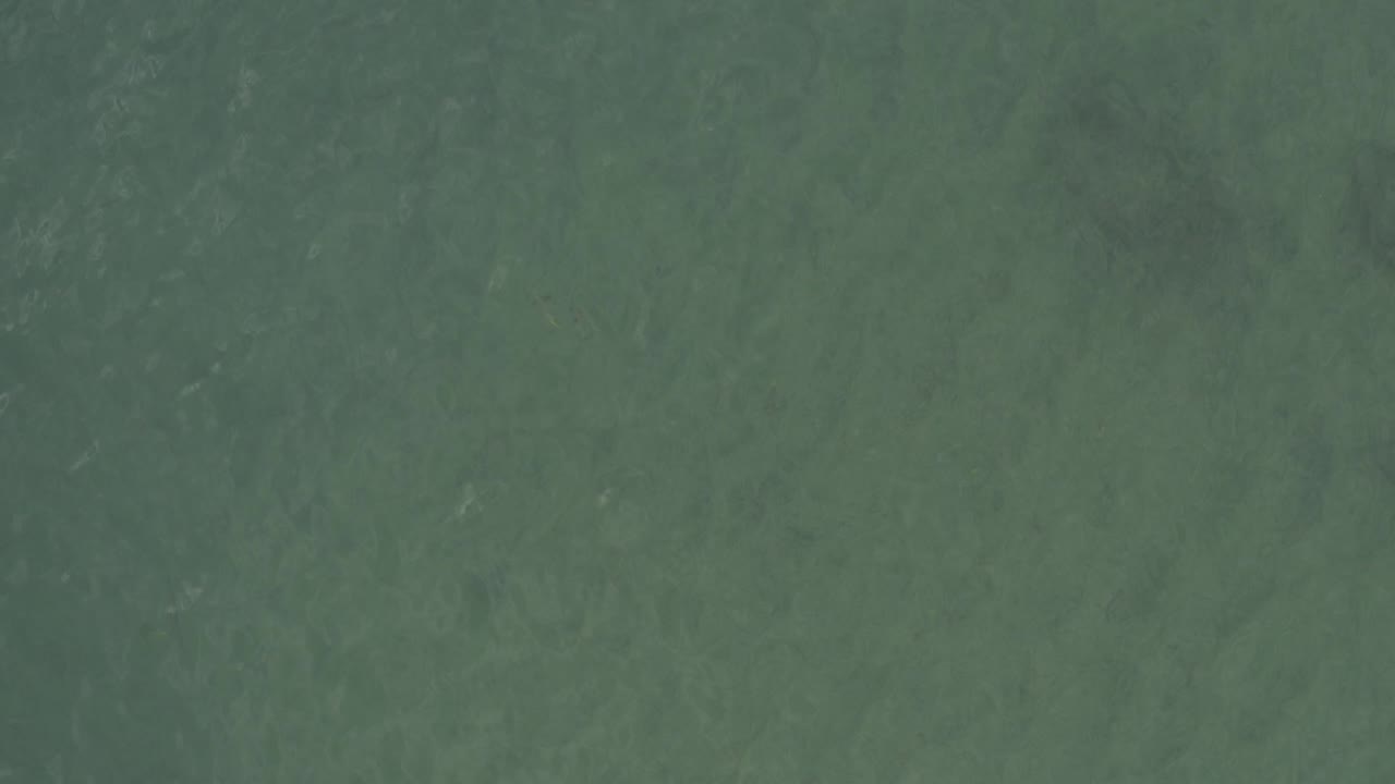 Overhead view of green-blue ocean water in Baja California Sur, Mexico, with faint ripples across the surface and no visible people.
